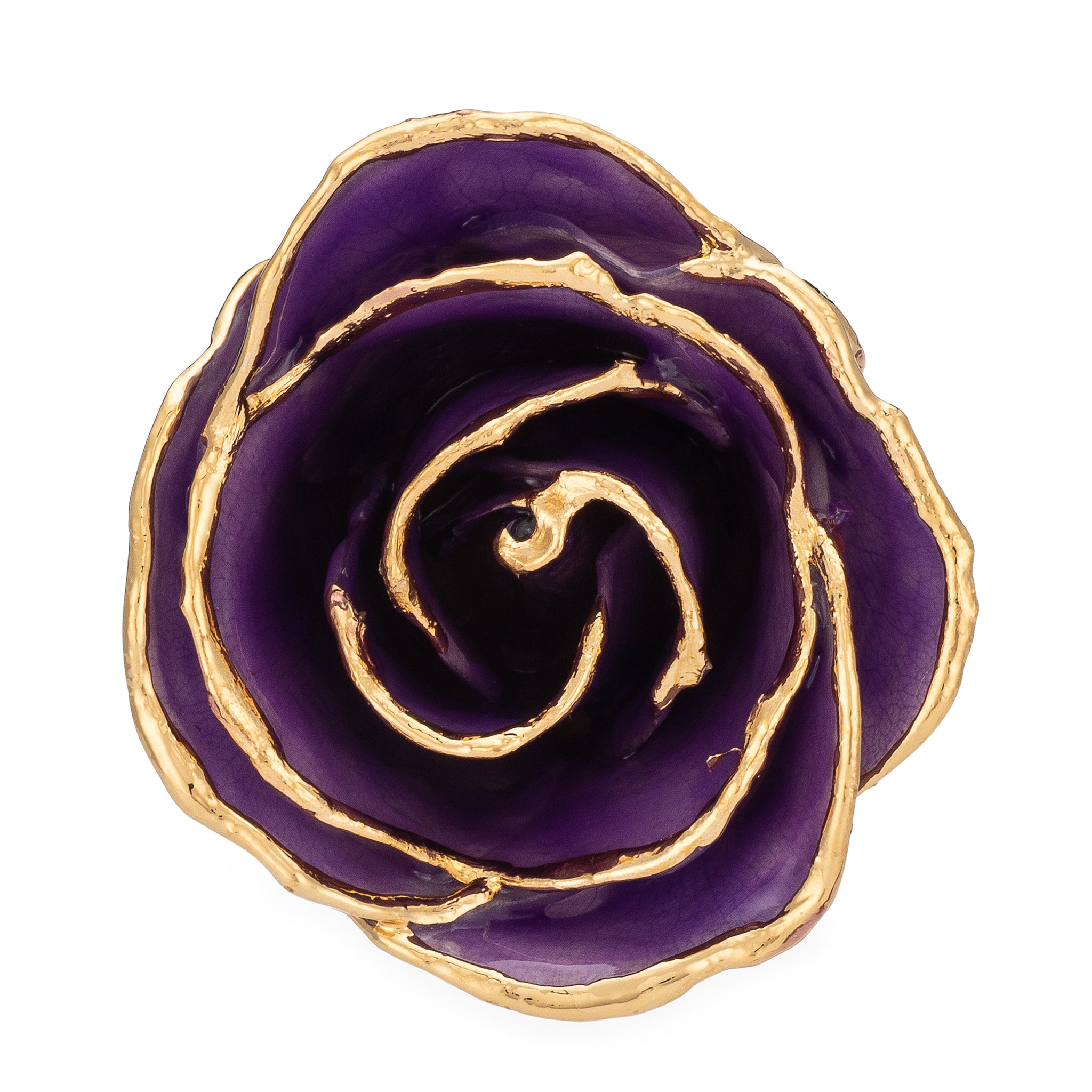 24K Gold Forever Rose - Purple
