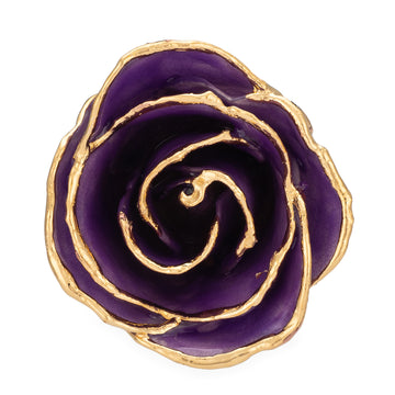 24K Gold Forever Rose - Purple