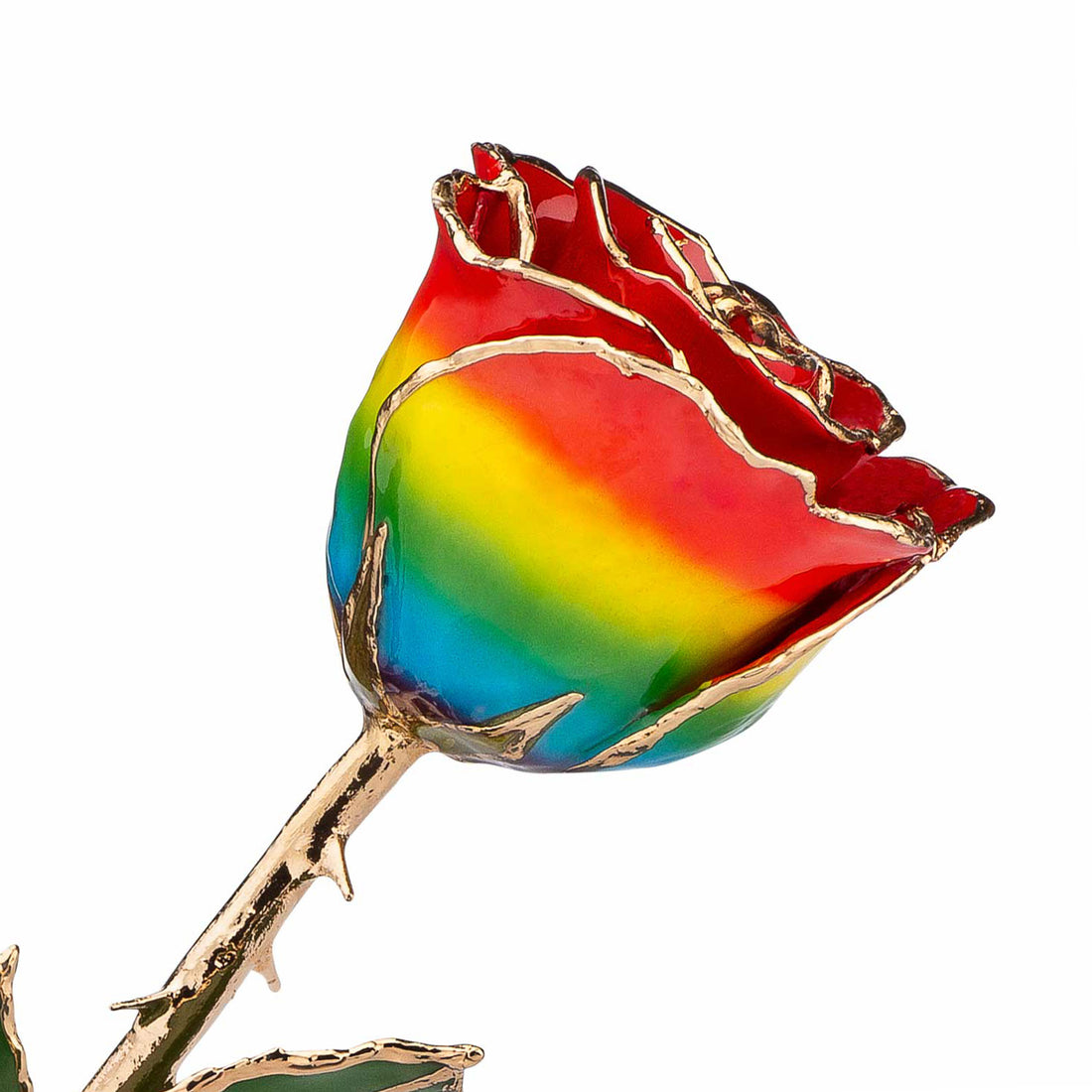 24K Gold Forever Rose - Rainbow
