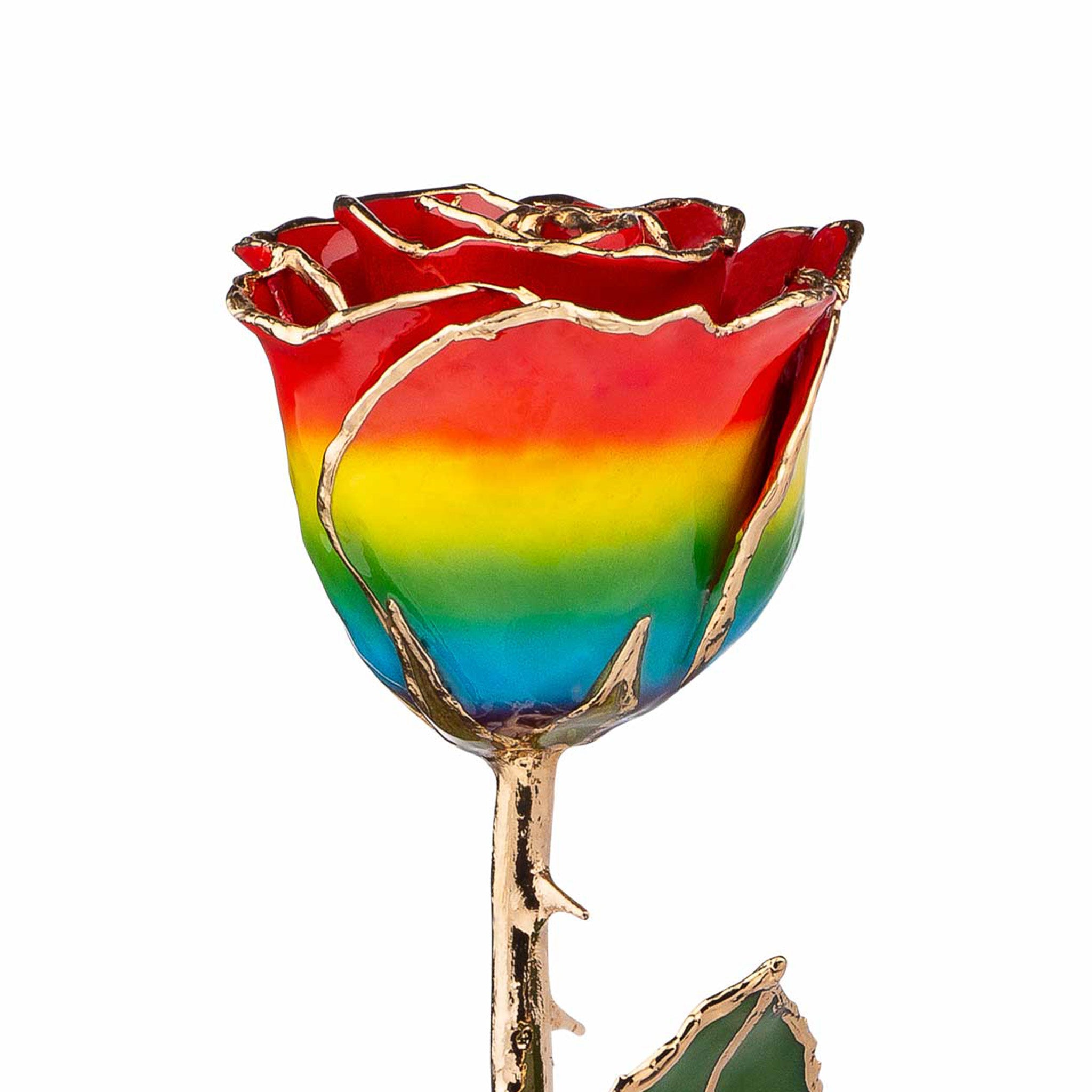 24K Gold Forever Rose - Rainbow