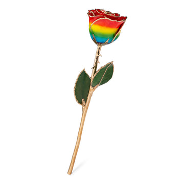 24K Gold Forever Rose - Rainbow