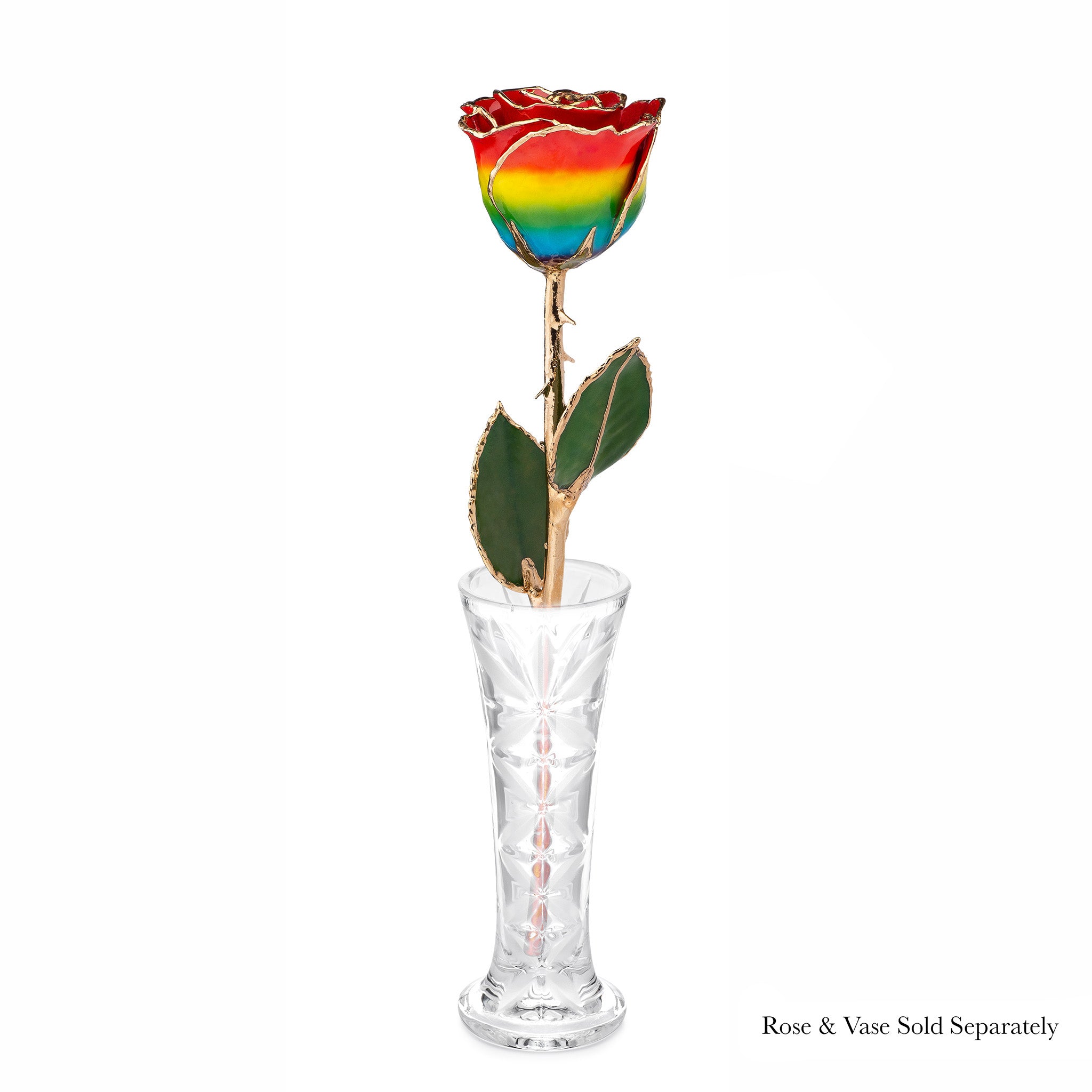 24K Gold Forever Rose - Rainbow