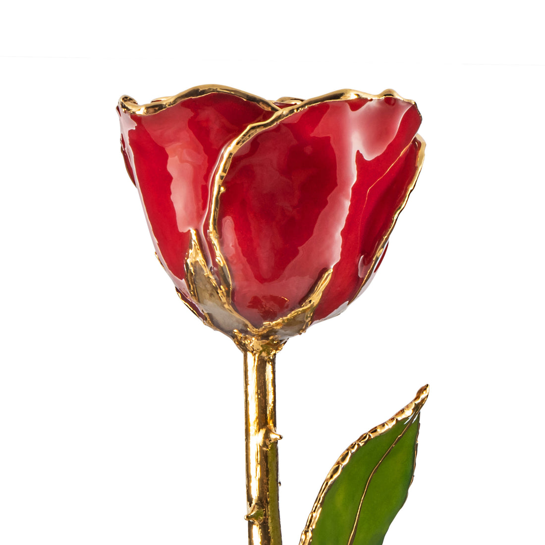 Forever Rose Leather Display Case Combo (24K Gold Trim Red)