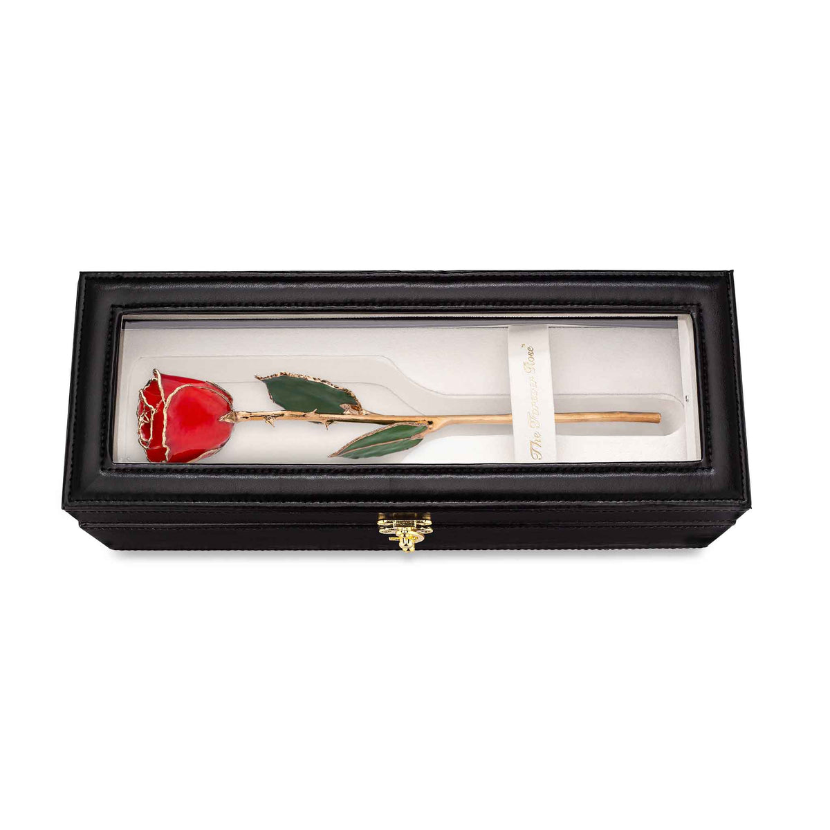 Leather Display Case Combo