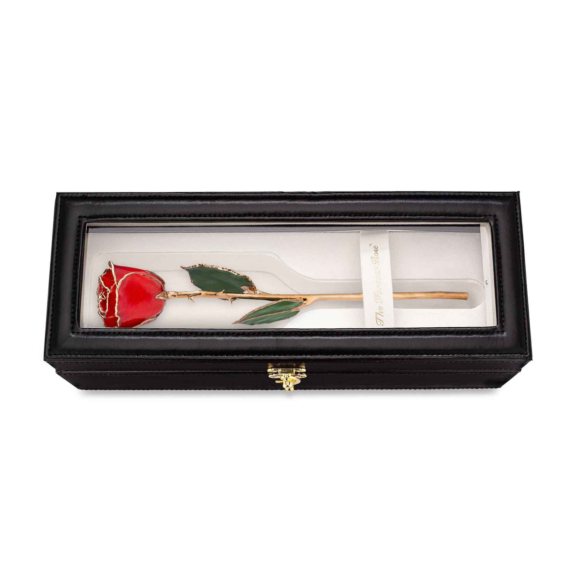 Forever Rose Leather Display Case Combo (24K Gold Trim Red)