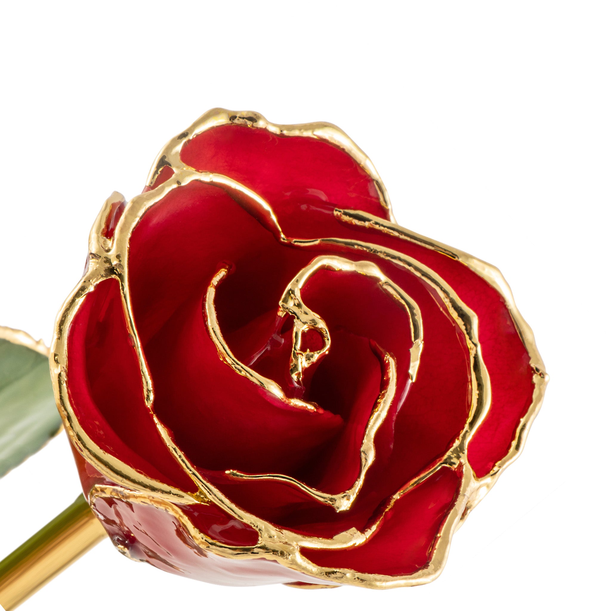 Rose In Gold 24K Gold Forever Rose - Red - The Forever Rose