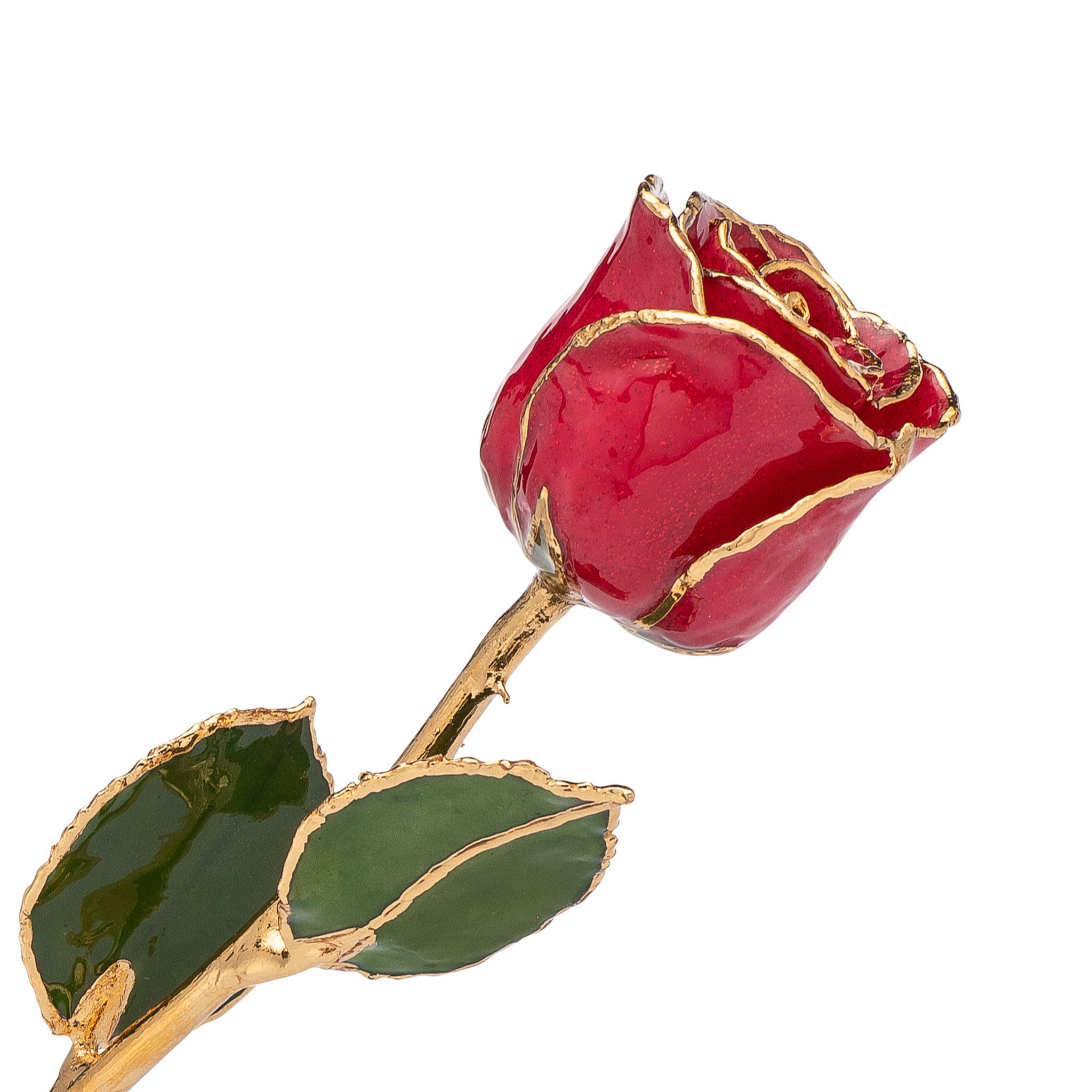 24K Gold Trimmed Forever Rose with Red Petals with Suspended Sparkles. View of Stem, Leaves, and Rose Petals and Showing Detail of Gold Trim