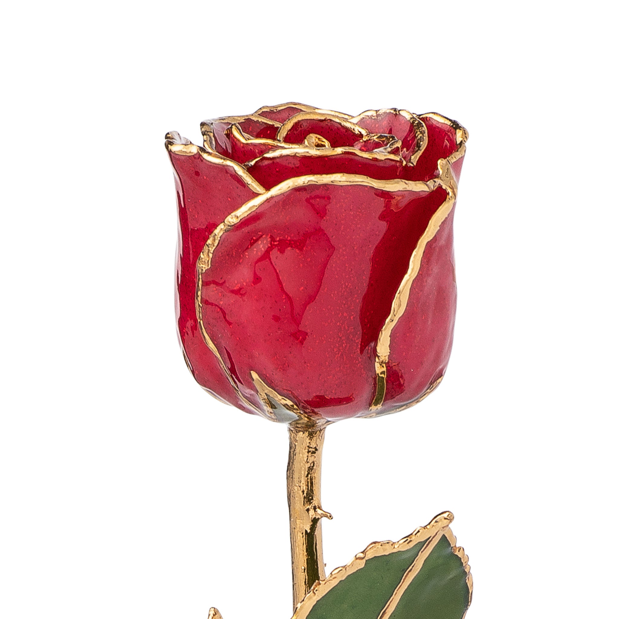 24K Gold Trimmed Forever Rose with Red Petals with Suspended Sparkles. View of Stem, Leaves, and Rose Petals and Showing Detail of Gold Trim