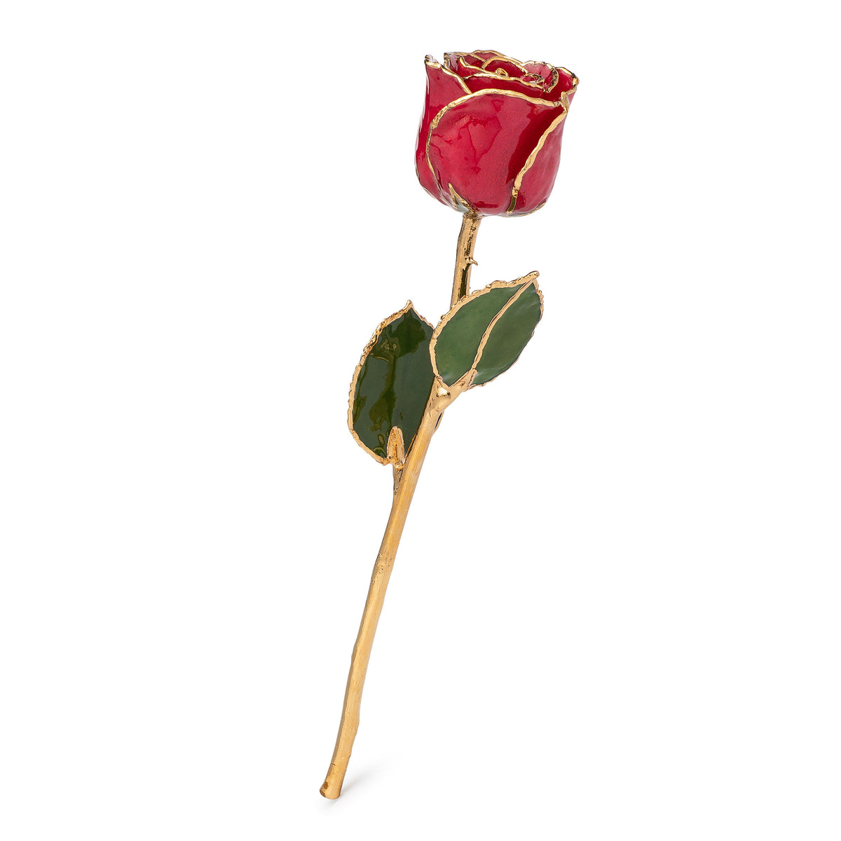 24K Gold Trimmed Forever Rose with Red Petals with Suspended Sparkles. View of Stem, Leaves, and Rose Petals and Showing Detail of Gold Trim