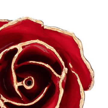 24K Gold Forever Rose - Red