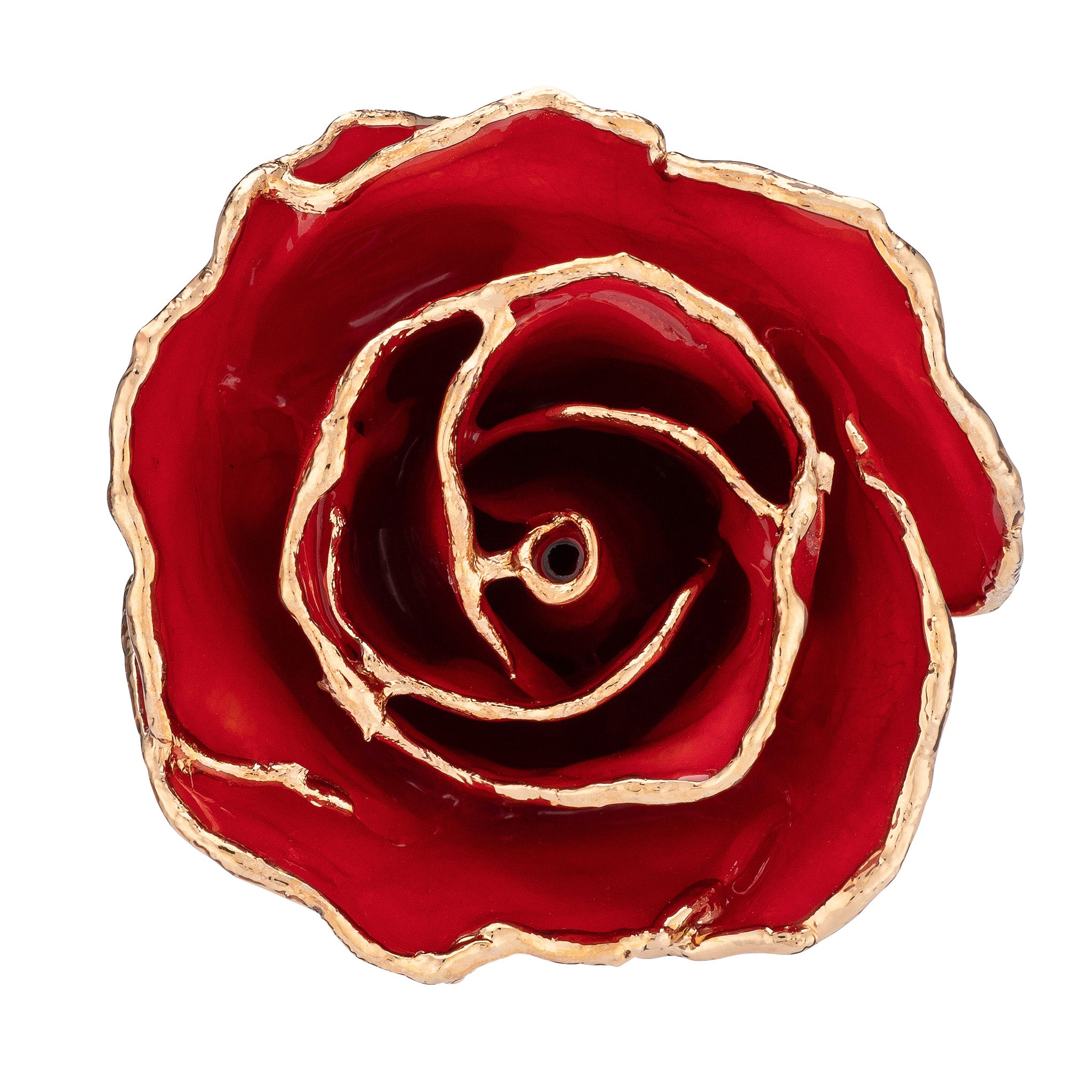 24K Gold Forever Rose - Red
