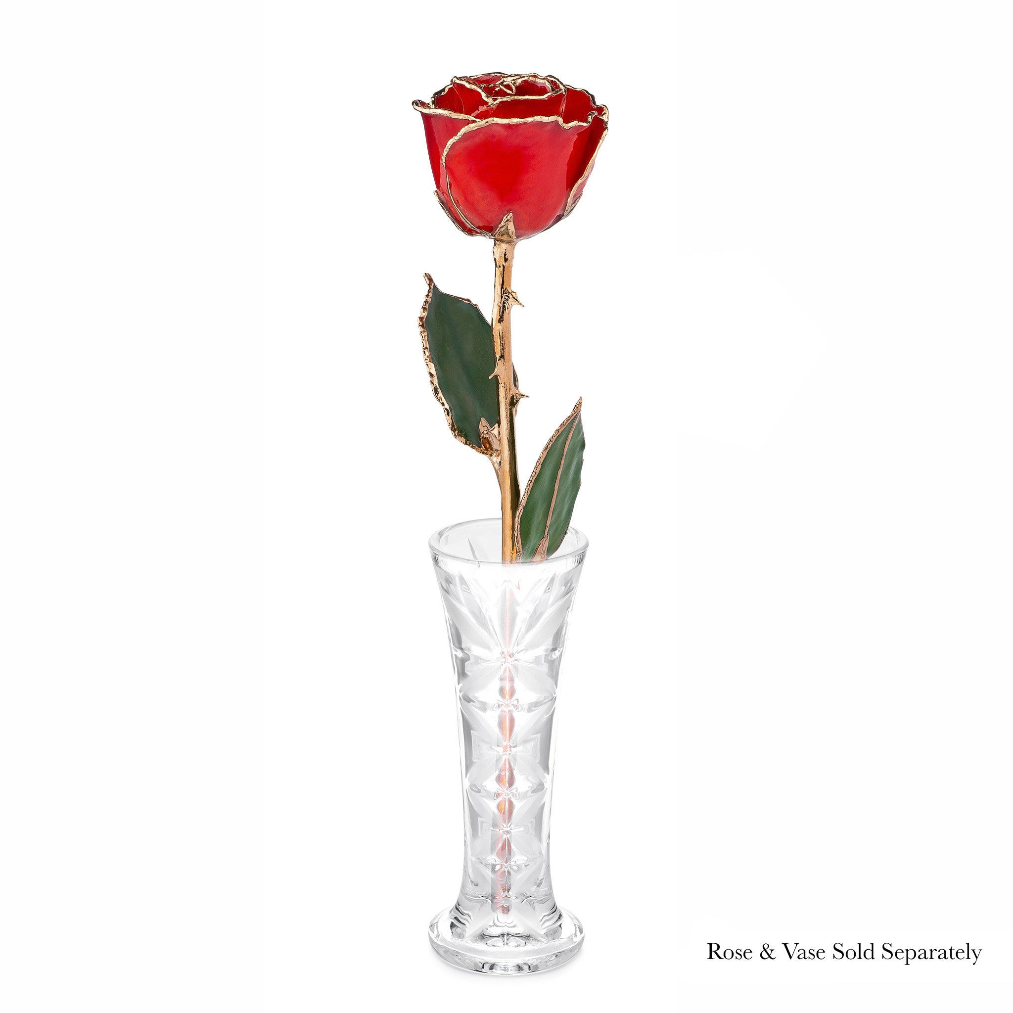24K Gold Forever Rose - Red