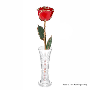24K Gold Forever Rose - Red