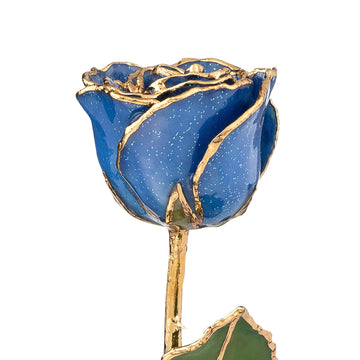 Custom Enchanted Rose - 24K Gold Sapphire (September)