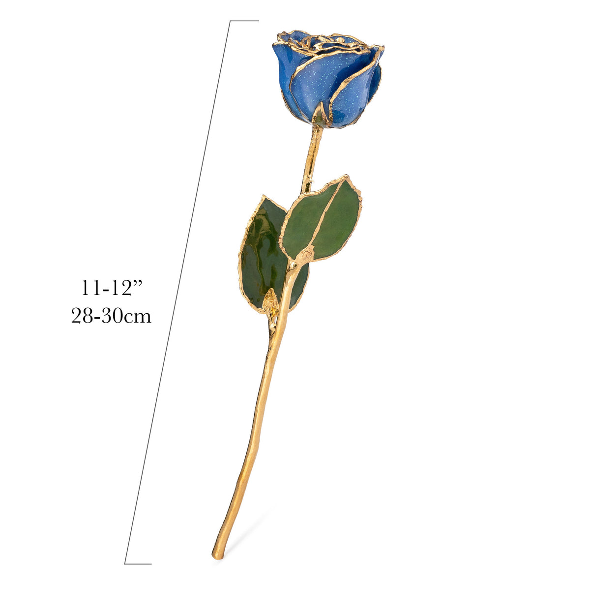 24K Gold Trimmed Forever Rose with Sapphire Blue Petals with Sapphire Suspended Sparkles. View of Stem, Leaves, and Rose Petals and Showing Detail of Gold Trim with measurements of rose