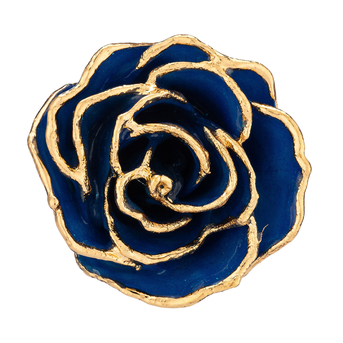 24K Gold Trimmed Forever Rose with Sapphire Blue Petals with Sapphire Suspended Sparkles. View of Stem, Leaves, and Rose Petals and Showing Detail of Gold Trim view from top looking down into petals