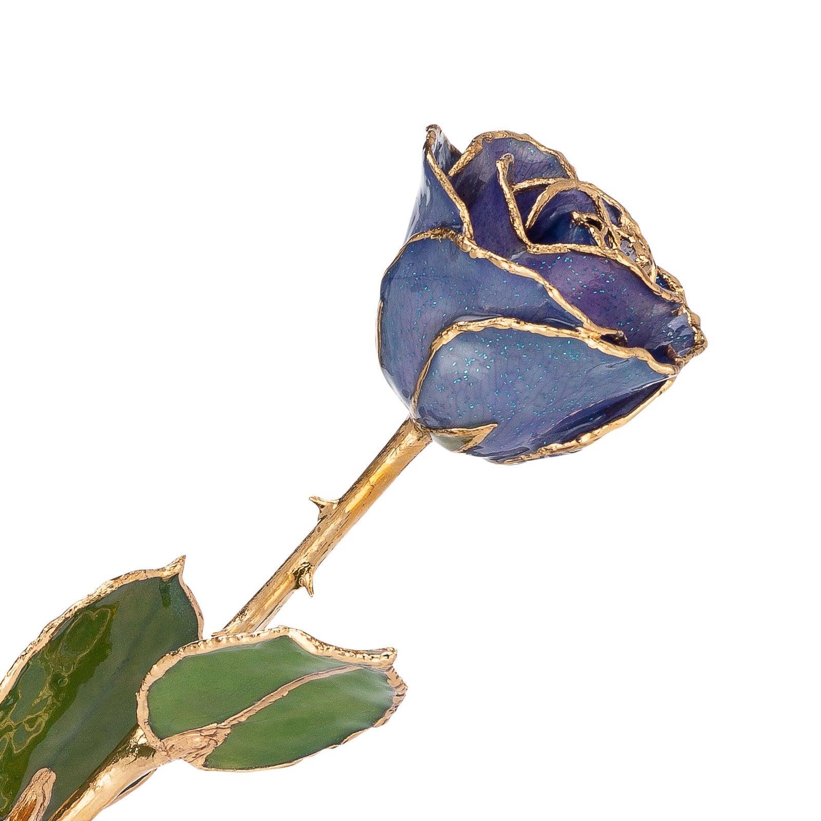 24K Gold Trimmed Forever Rose with Tanzanite (Purple, Lavender, and Blue color blend) Petals with Sapphire Blue Suspended Sparkles. View of Stem, Leaves, and Rose Petals and Showing Detail of Gold Trim