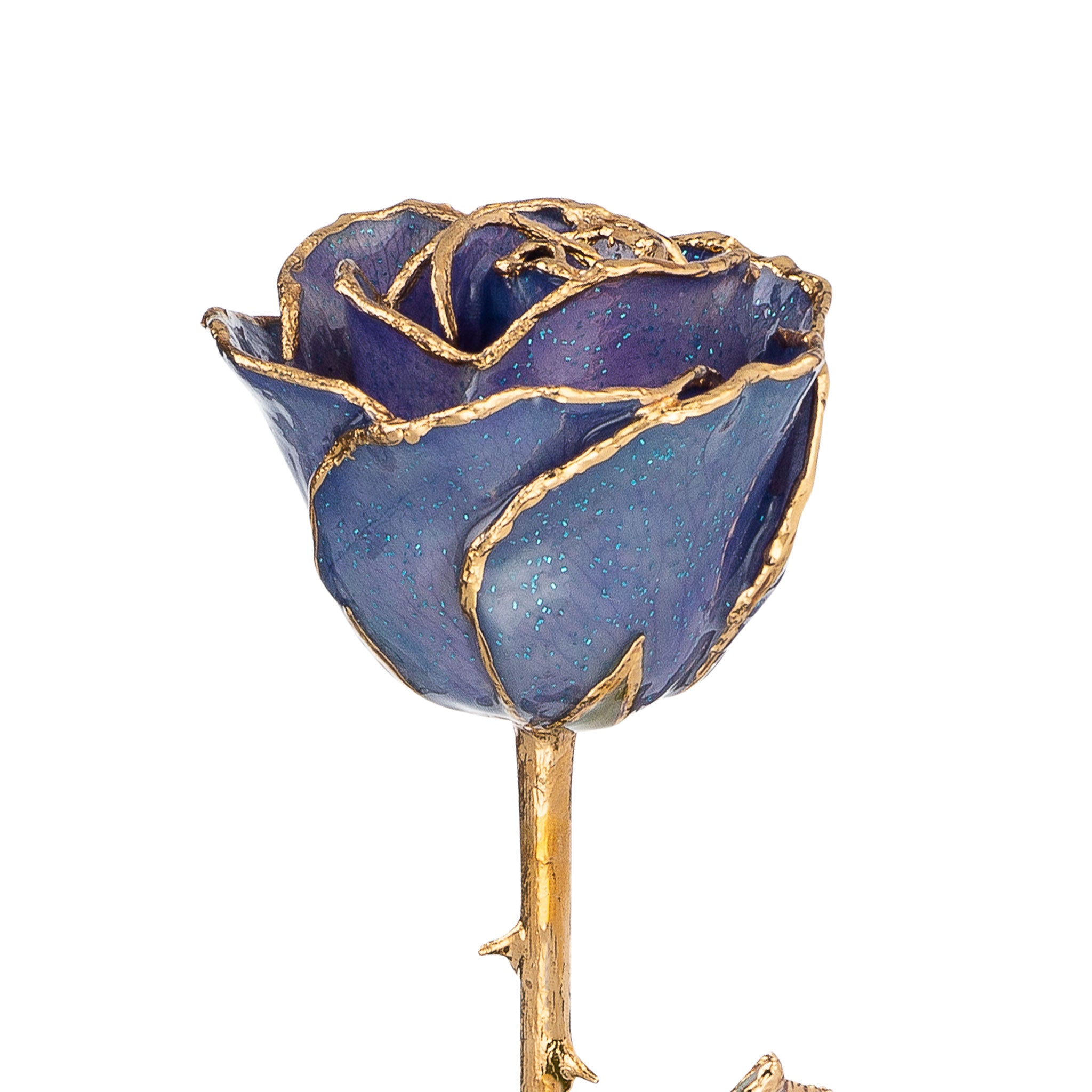 24K Gold Trimmed Forever Rose with Tanzanite (Purple, Lavender, and Blue color blend) Petals with Sapphire Blue Suspended Sparkles. View of Stem, Leaves, and Rose Petals and Showing Detail of Gold Trim