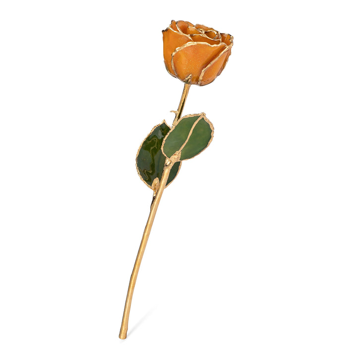 24K Gold Trimmed Forever Rose with Topaz or Citrine (Amber color) Petals with Gold colored Suspended Sparkles. View of Stem, Leaves, and Rose Petals and Showing Detail of Gold Trim
