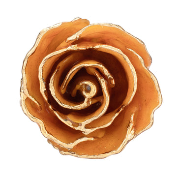 24K Gold Trimmed Forever Rose with Topaz or Citrine (Amber color) Petals with Gold colored Suspended Sparkles. View of Stem, Leaves, and Rose Petals and Showing Detail of Gold Trim
