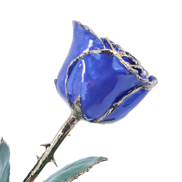24K Gold Forever Rose - Violet Pearl