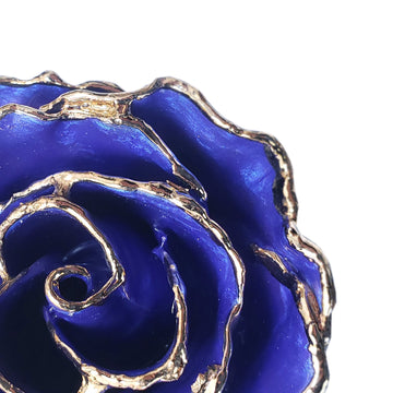 24K Gold Forever Rose - Violet Pearl