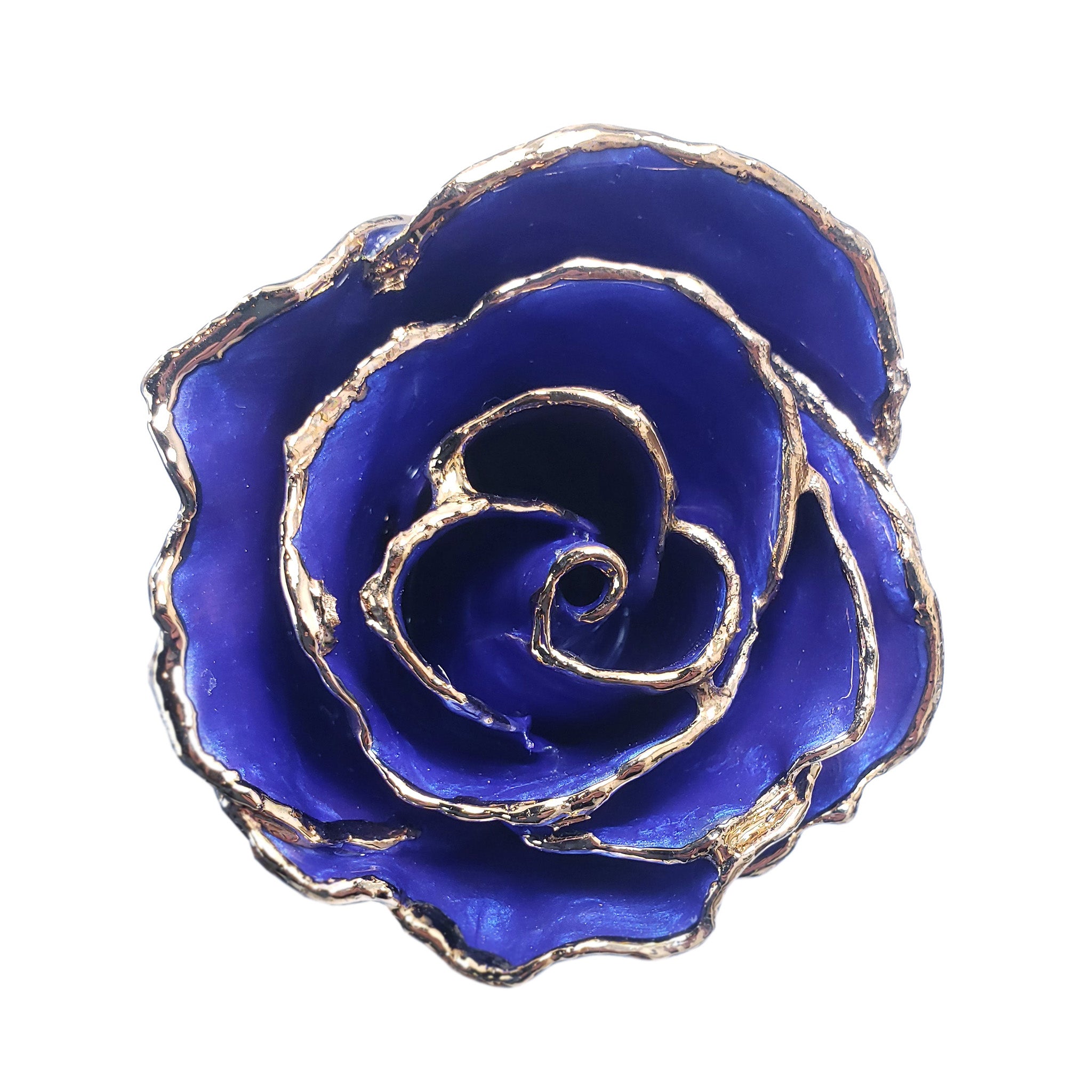 24K Gold Forever Rose - Violet Pearl
