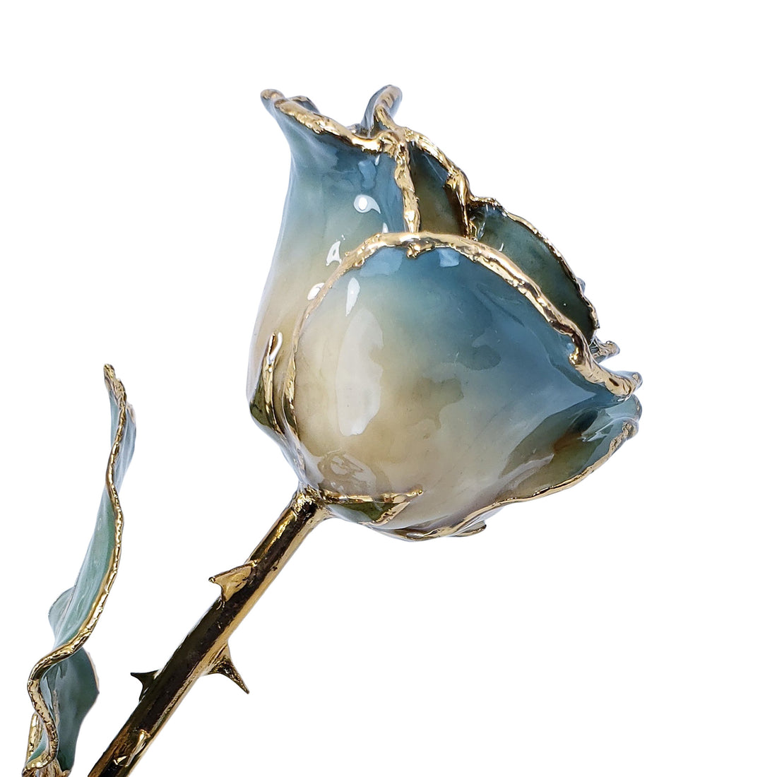 24K Gold Forever Rose - White to Blue