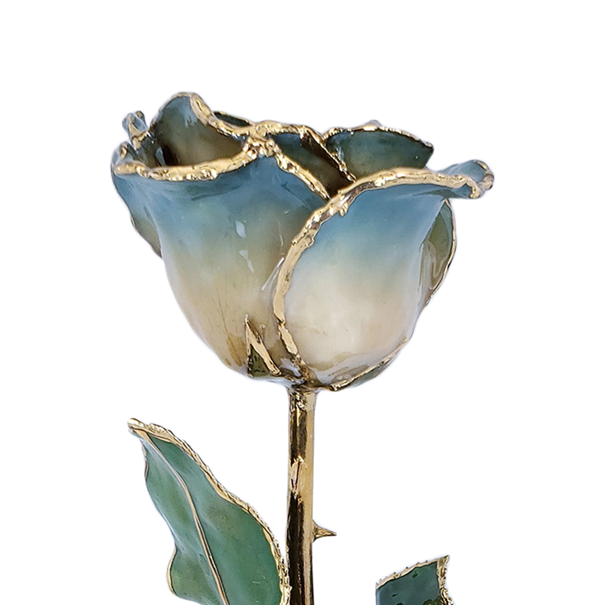 24K Gold Forever Rose - White to Blue