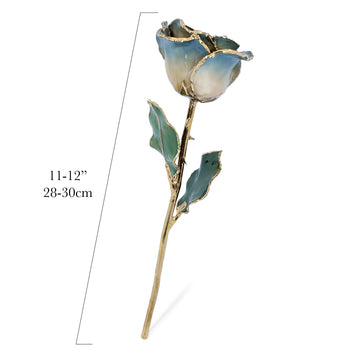 24K Gold Forever Rose - White to Blue