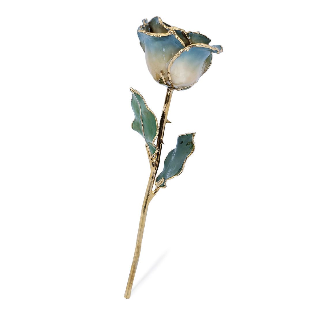 24K Gold Forever Rose - White to Blue