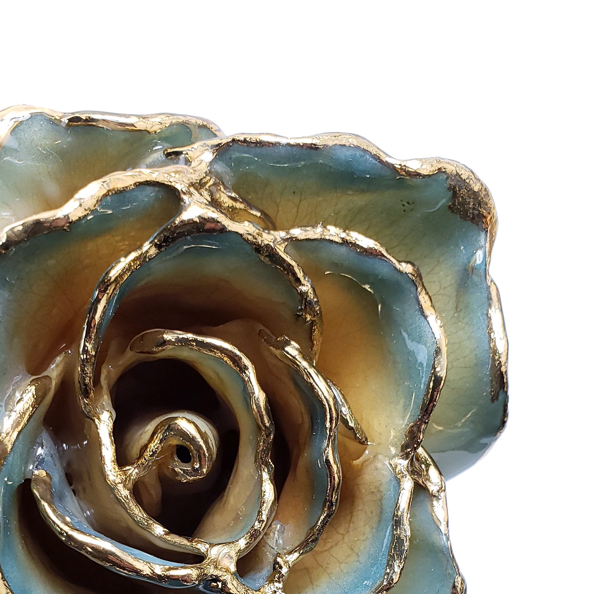 24K Gold Forever Rose - White to Blue