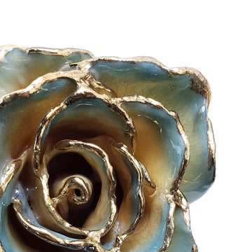 24K Gold Forever Rose - White to Blue