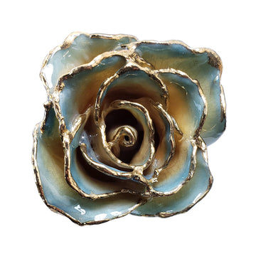 24K Gold Forever Rose - White to Blue