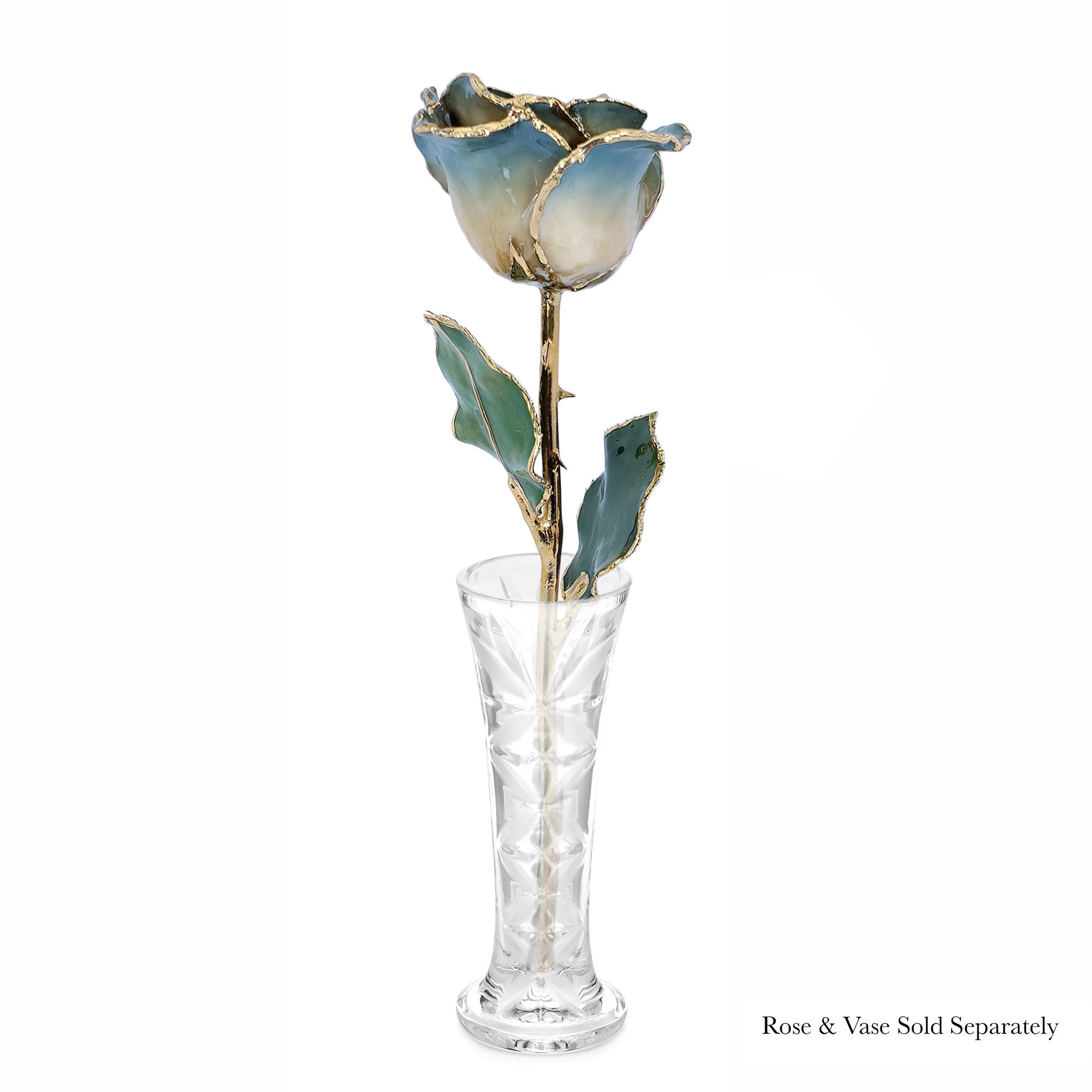 24K Gold Forever Rose - White to Blue