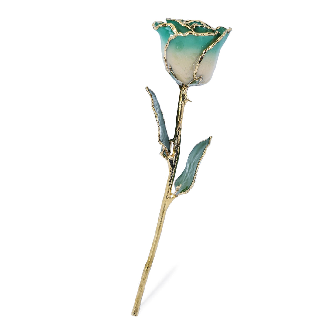 24K Gold Forever Rose - White to Green