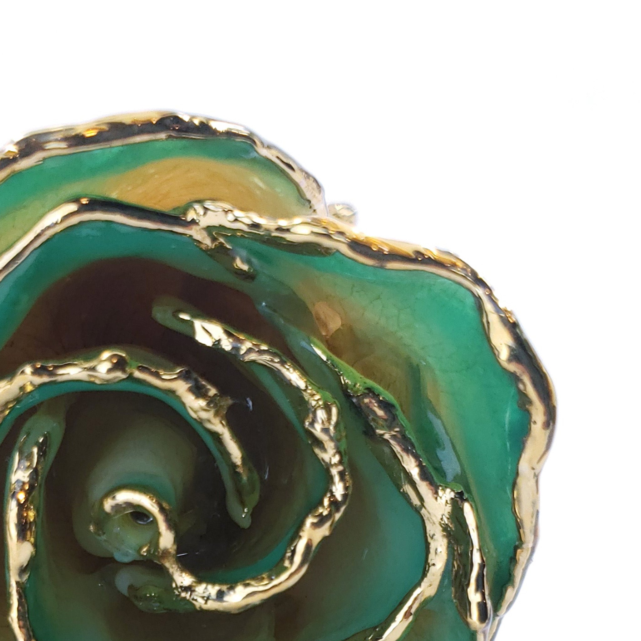 24K Gold Forever Rose - White to Green