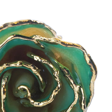 24K Gold Forever Rose - White to Green