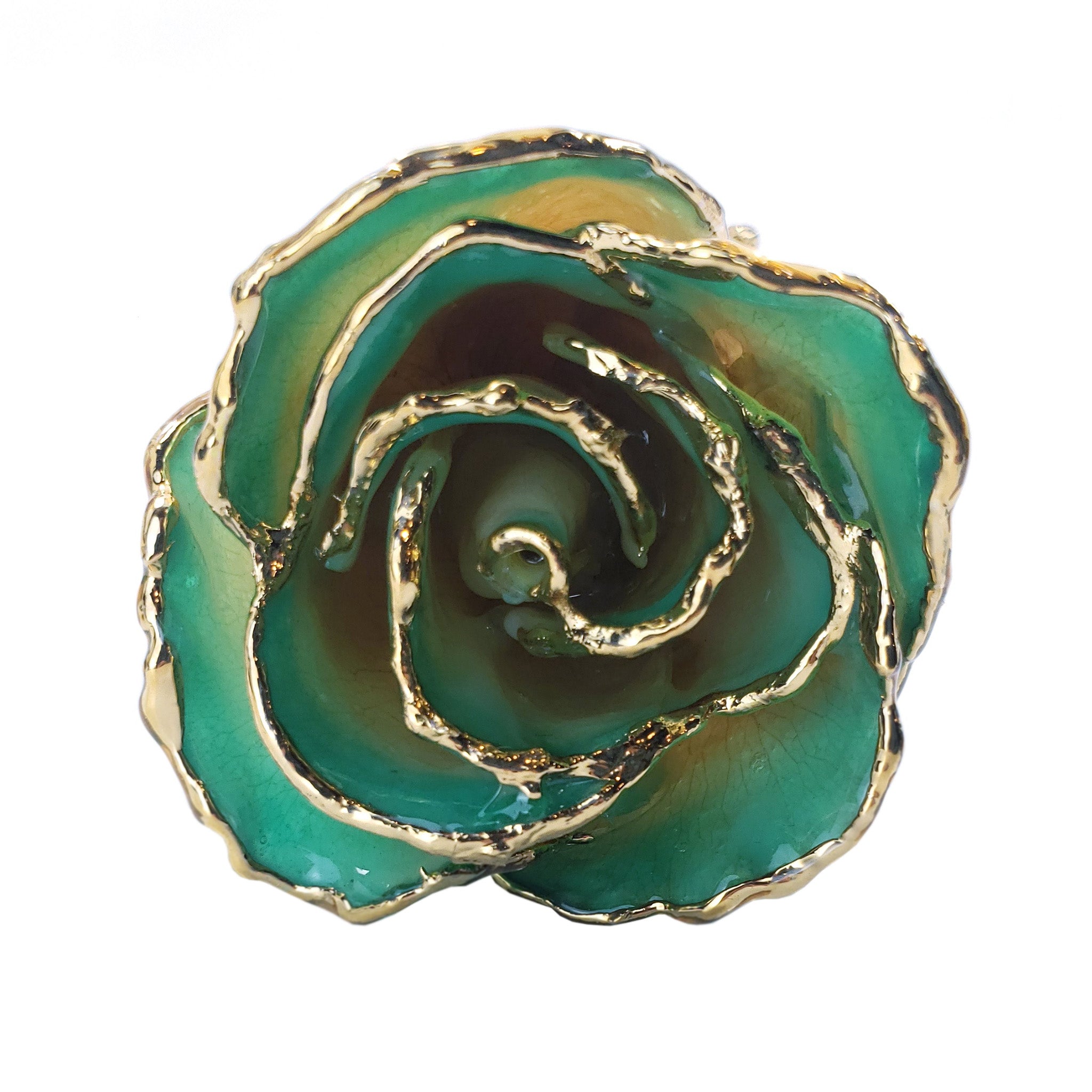 24K Gold Forever Rose - White to Green