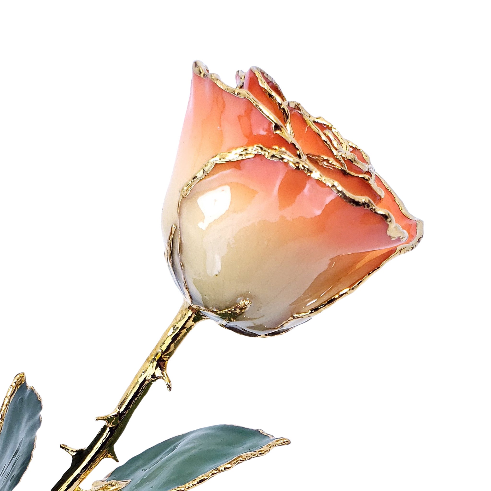 24K Gold Forever Rose - Sunrise - The Forever Rose