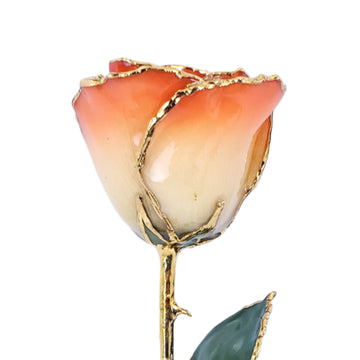 24K Gold Forever Rose - Sunrise