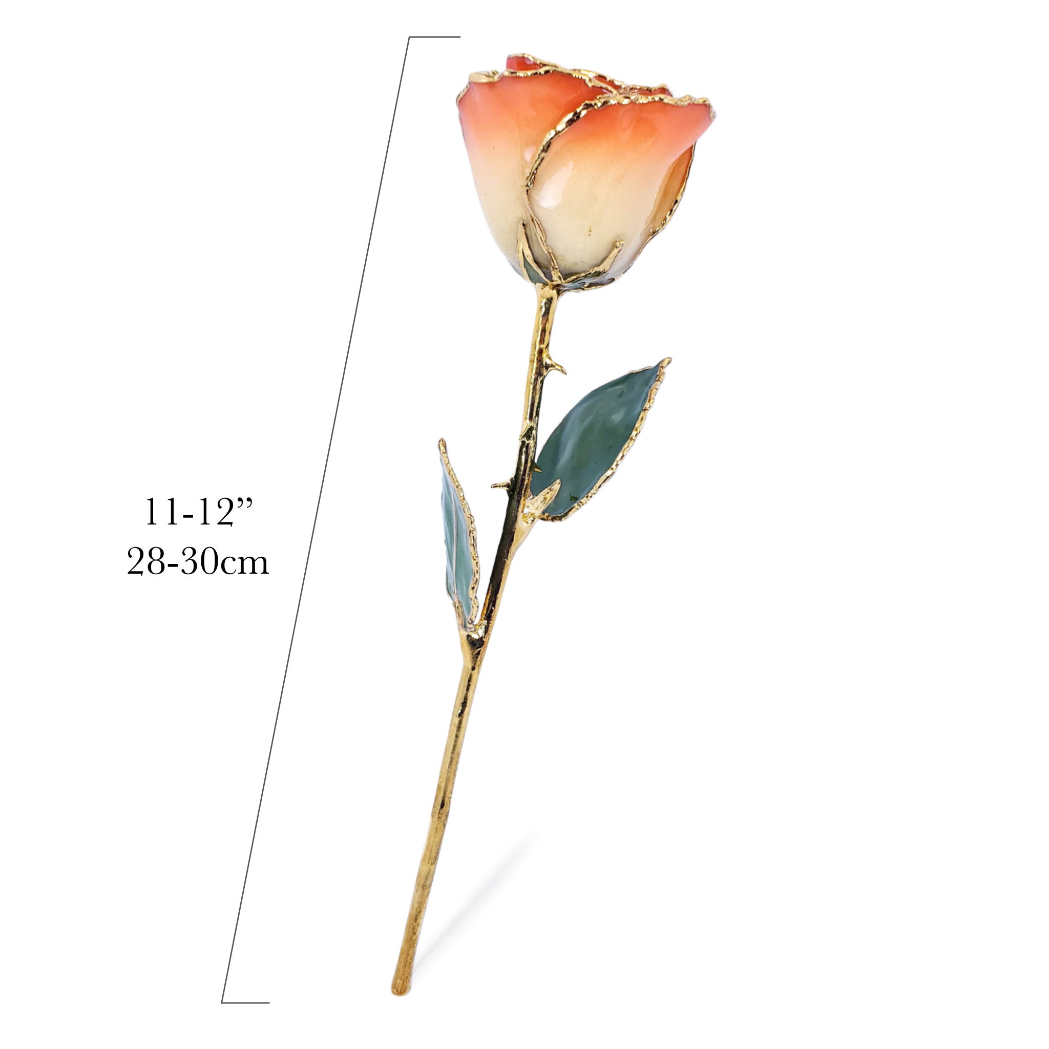 24K Gold Forever Rose - Sunrise