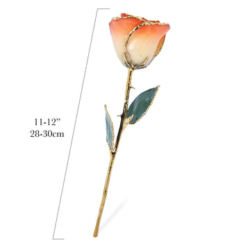 24K Gold Forever Rose - Sunrise