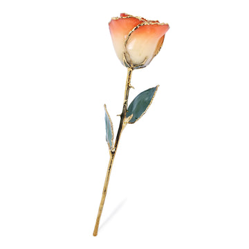 24K Gold Forever Rose - Sunrise