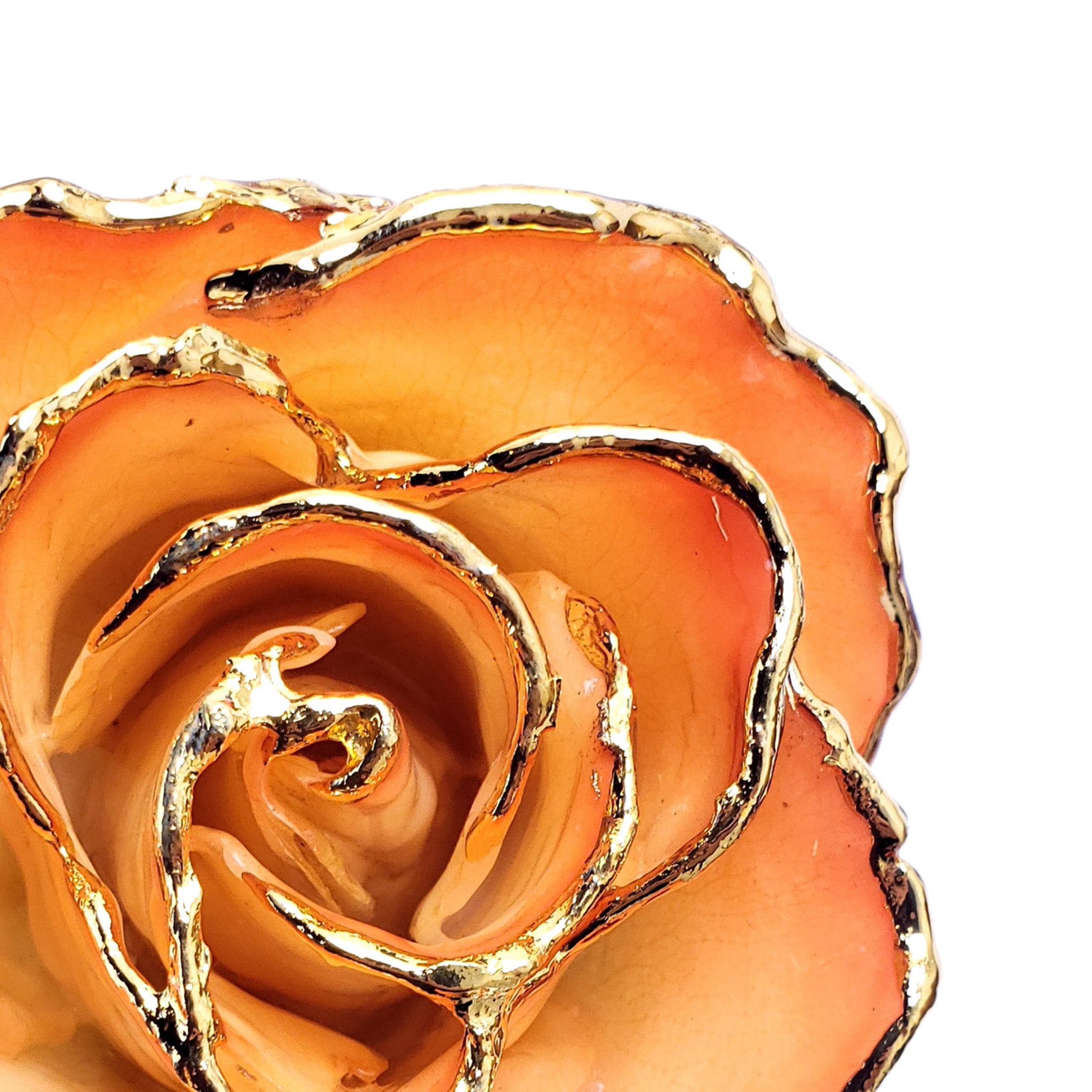 24K Gold Forever Rose - Sunrise