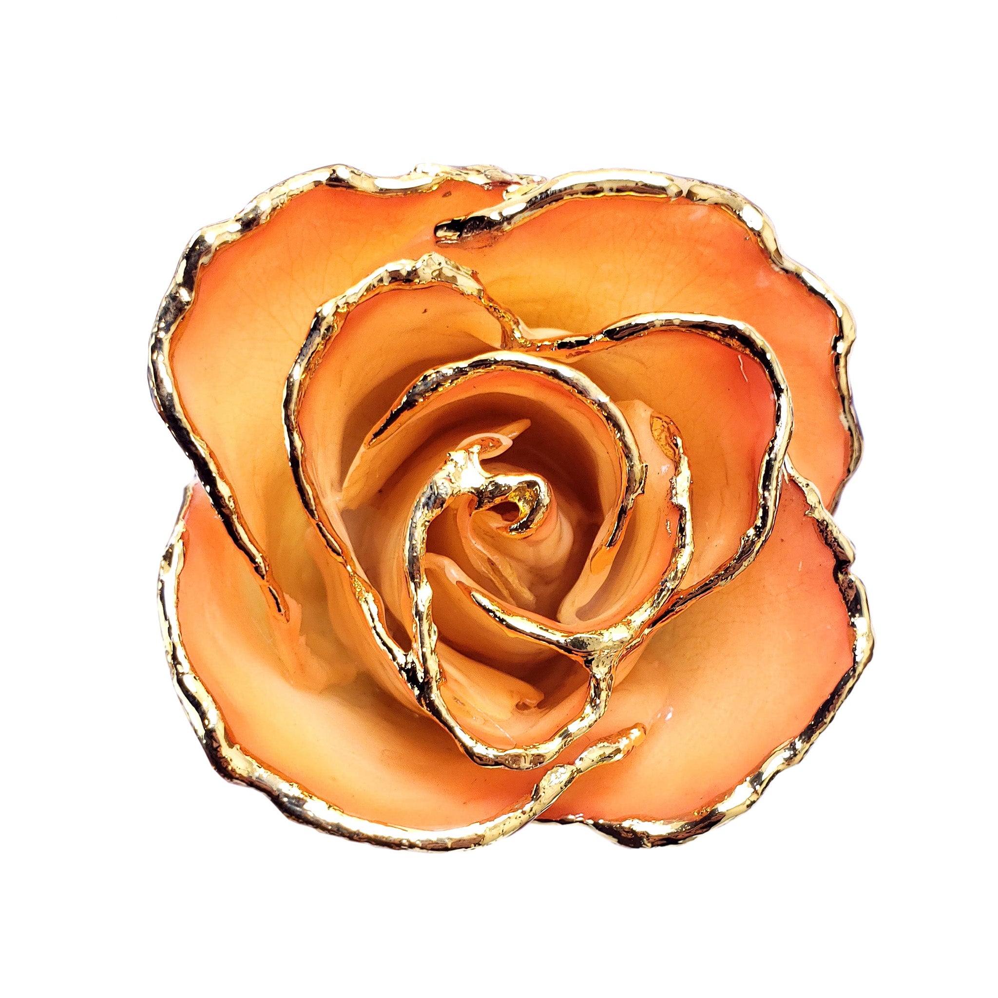 24K Gold Forever Rose - Sunrise