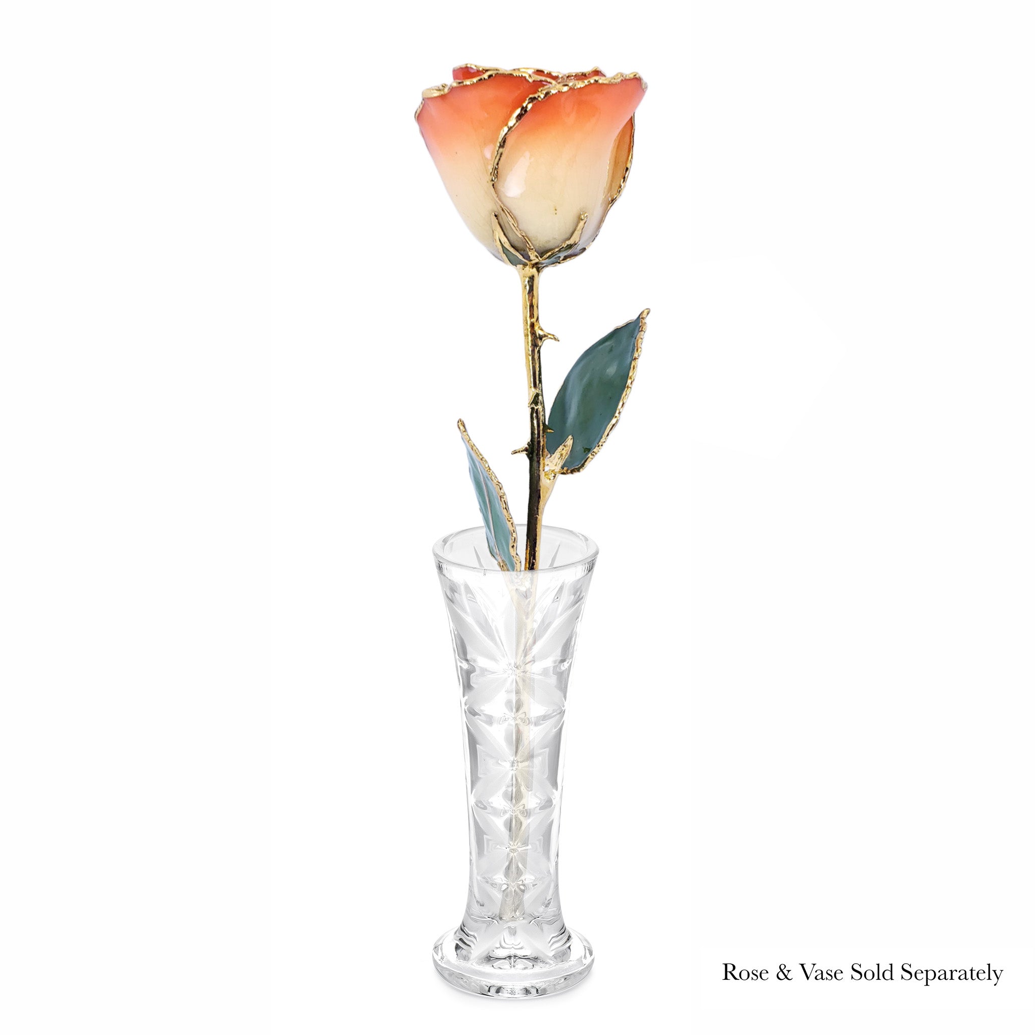 24K Gold Forever Rose - Sunrise