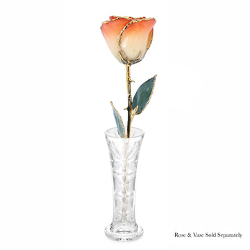 24K Gold Forever Rose - Sunrise