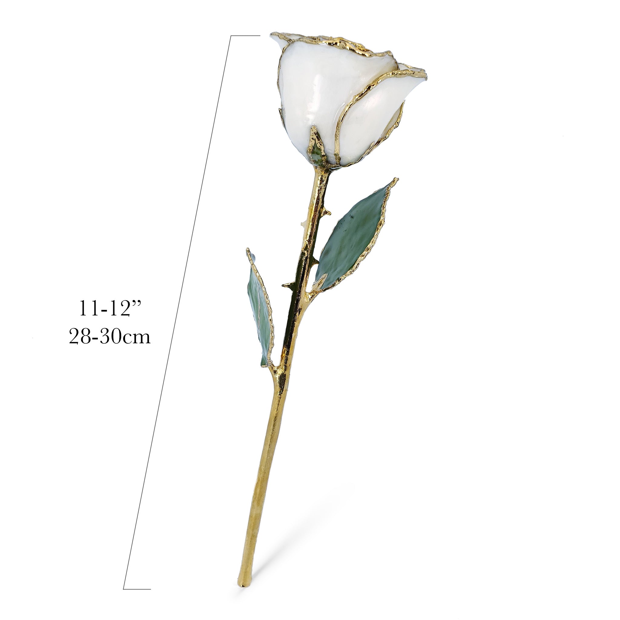 24K Gold Forever Rose - White Pearl (June Birthstone)