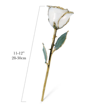 24K Gold Forever Rose - White Pearl (June Birthstone)